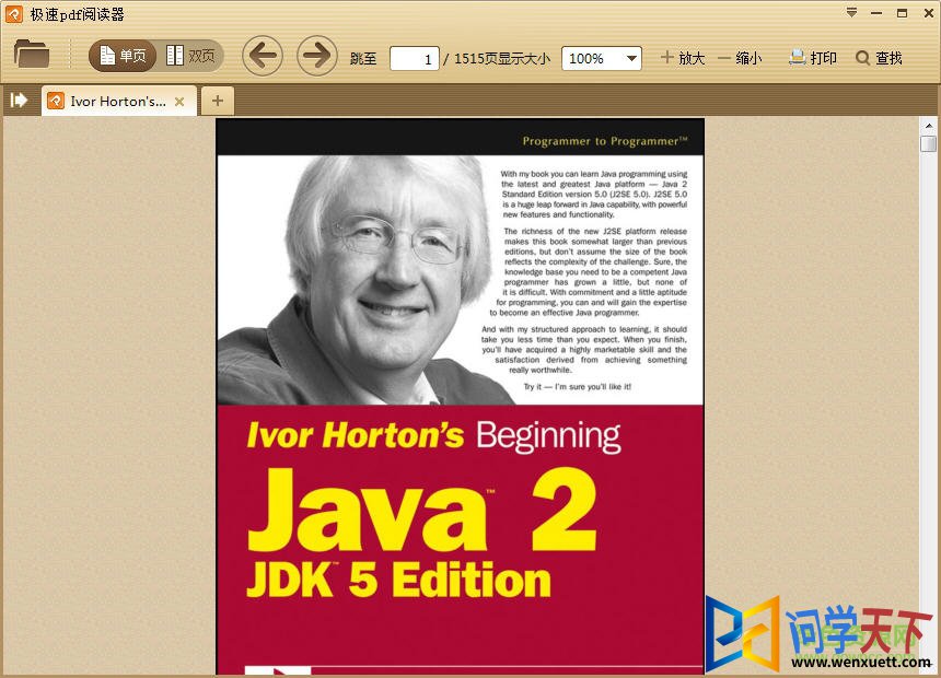 javaž̳pdf