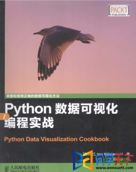 pythonݿӻʵսpdf