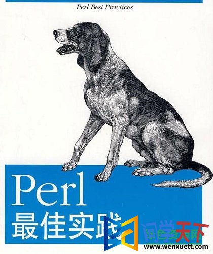perlʵ pdf