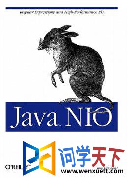 java nio İ pdf