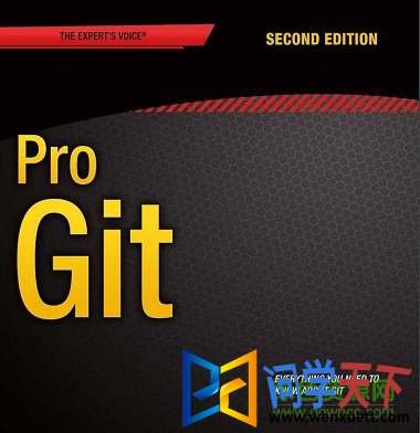 pro gitڶ pdf