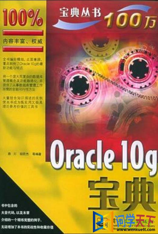 oracle10gpdf