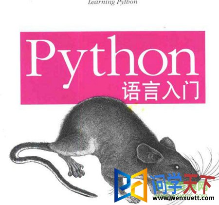 python 