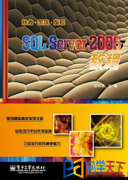 sqlserver2005pdf