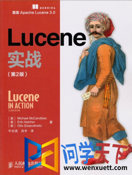 Luceneʵս pdf