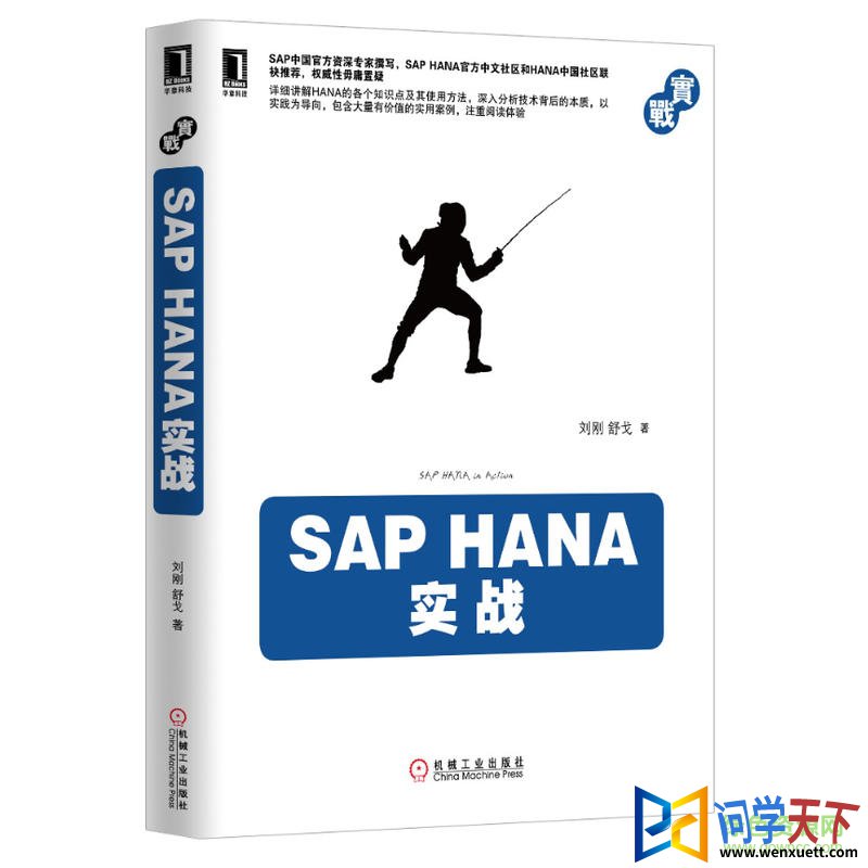 sap hanaʵսpdf